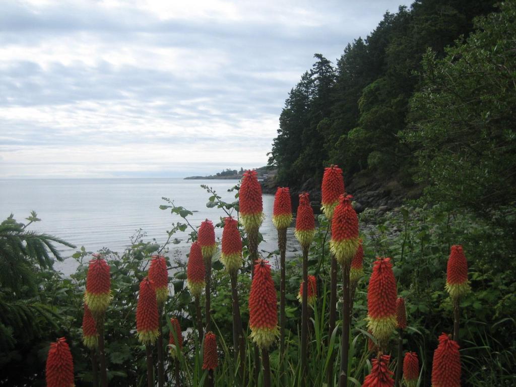The Lodge At Weir'S Beach Metchosin Exterior foto